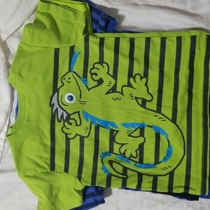 Bundle of toddler boy's shirts